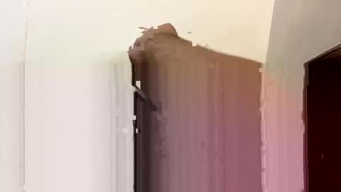 dekingdragon online show from October 16, 8:07 pm