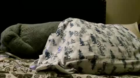 deroseblack online show from February 24, 5:22 am