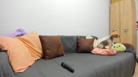 Misha online show from December 2, 7:08 am