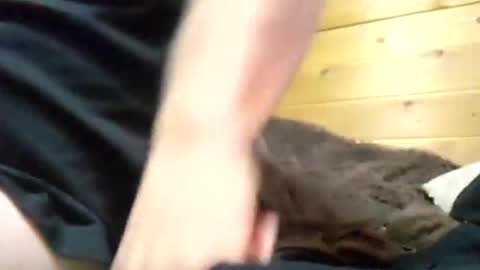 dickbeatercum4u online show from March 18, 9:42 pm