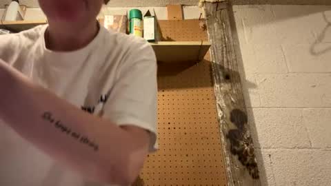 Beau online show from November 7, 9:45 am