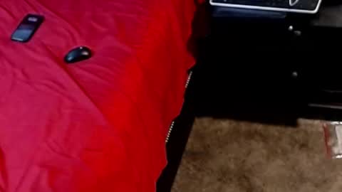 Sparkx online show from September 28, 5:05 am