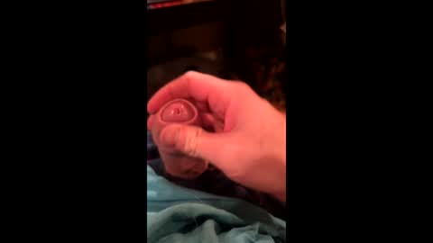 dickson1343 online show from December 18, 3:57 am