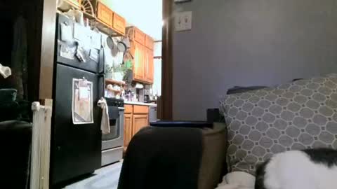 dickwack4u online show from January 4, 4:01 am