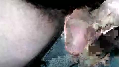 dirtyadventurer online show from April 9, 3:50 pm