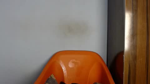 dirtydesirebabe online show from February 25, 6:39 am