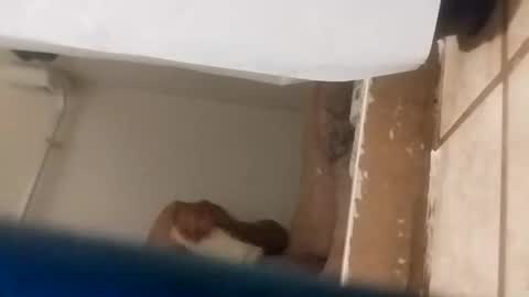 dixonbird41 online show from October 7, 10:33 am