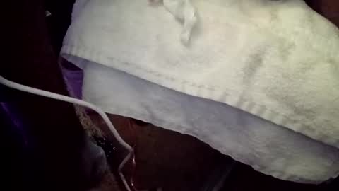 dj_firewokz online show from April 21, 8:27 pm