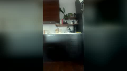 dm9313 online show from April 27, 10:13 am