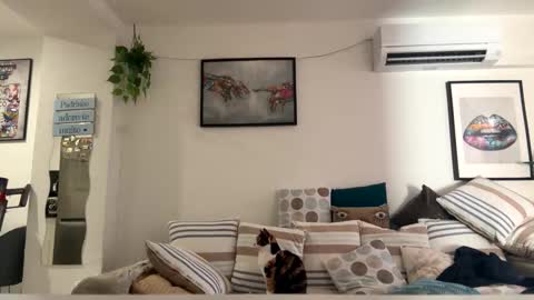 dmot2024 online show from December 1, 8:34 am