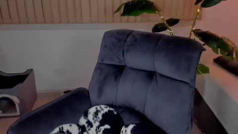 Hii Dont forget to follow me . online show from November 15, 4:36 am