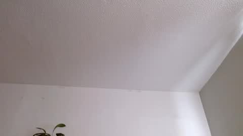   online show from May 23, 8:16 pm