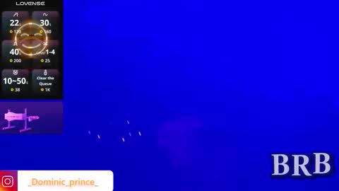 DOMINIC PRINCE   online show from February 23, 4:58 am