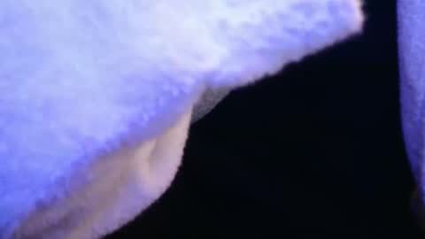 domse999 online show from February 17, 11:34 am