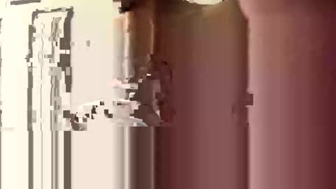 donnie206 online show from January 6, 6:17 am