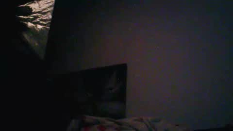 donosus online show from February 3, 7:07 pm