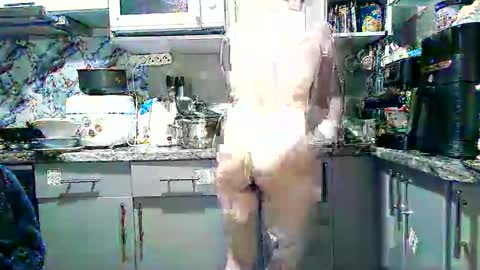 Snapshot of dorrie_ann chatting on October 21, 6:33 pm Dorrie Ann online show from October 21, 6:33 pm