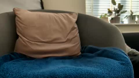 Drayfus online show from April 25, 4:15 pm