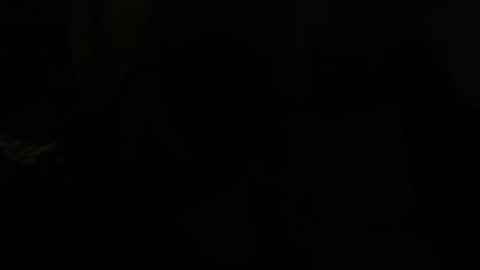 Dragon online show from January 28, 7:43 am