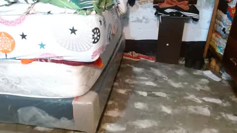 dreamreal online show from March 5, 10:57 am