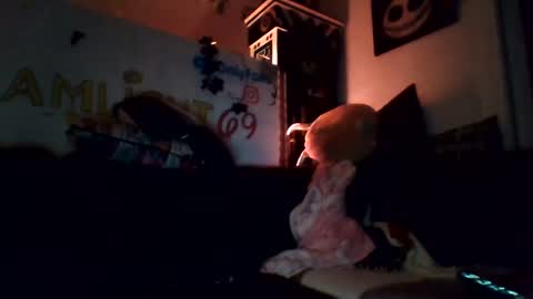 Dreamlight online show from December 2, 6:24 am