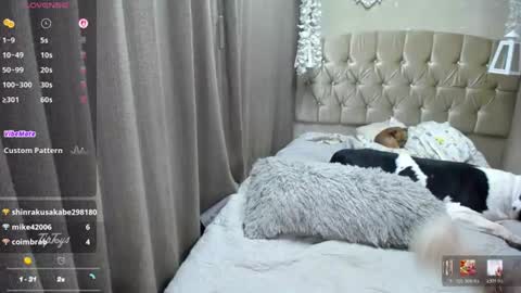 Sophia online show from July 26, 2:42 am