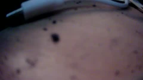 dreamy2020 online show from January 22, 4:12 pm