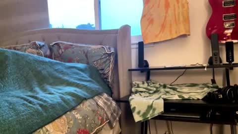 driving_perfectly online show from March 4, 1:57 am