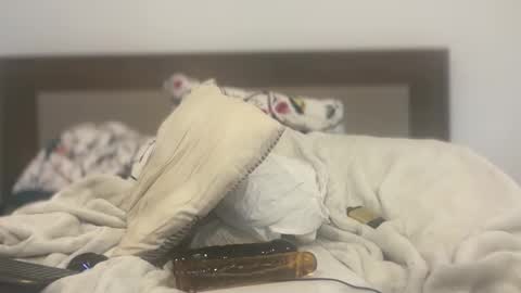 dudecuzbeo online show from March 6, 12:00 am