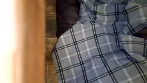 dVe1oPe online show from March 5, 3:21 pm