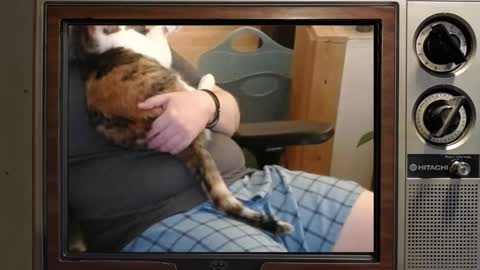 e8849c online show from October 13, 4:36 am