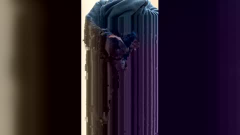 easternjerk online show from April 21, 8:21 am