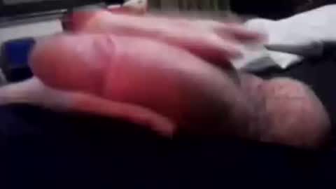 eatpussyuntilligetabj online show from December 19, 9:38 am