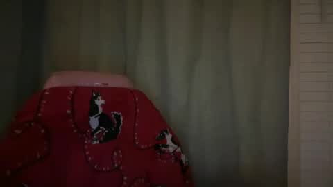 americnbarbie online show from November 21, 2:20 am