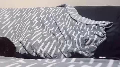 Eds online show from April 22, 6:15 pm