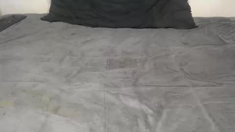 elgsslt online show from October 25, 11:53 am