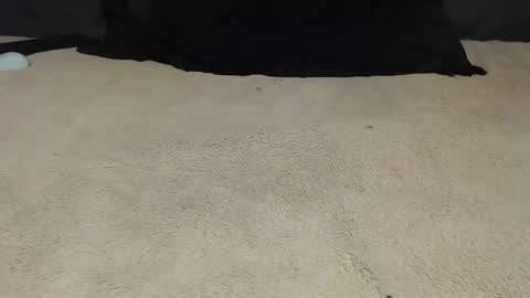 elgsslt online show from March 1, 2:10 pm