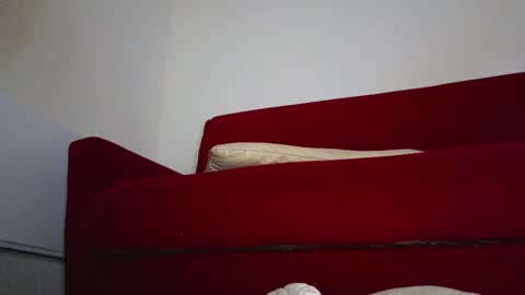 Tati online show from November 1, 8:57 am