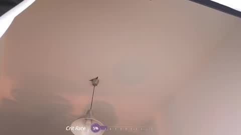 Snapshot of elliefrost chatting on February 12, 12:37 am elliefrost online show from February 12, 12:37 am