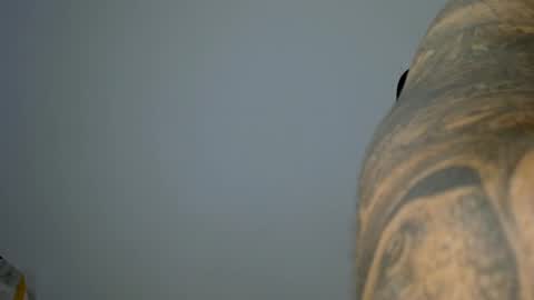 elosocazador online show from October 31, 7:14 pm