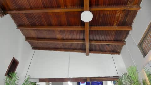 Emily  online show from December 4, 10:48 am