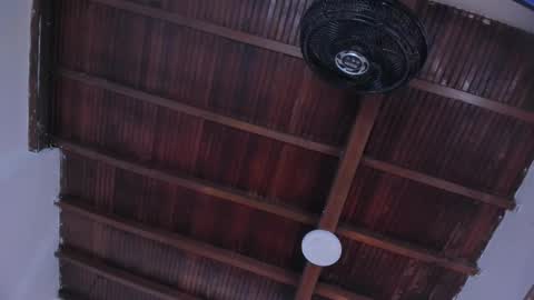 Emily  online show from February 3, 11:03 am