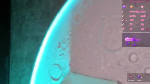     online show from October 18, 10:30 am