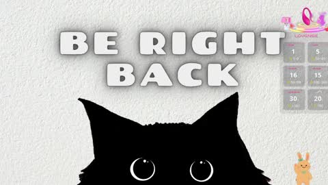   online show from April 9, 11:49 am