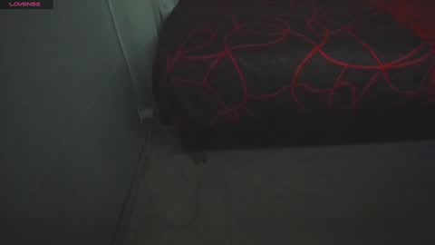 EMMA online show from December 29, 12:45 pm