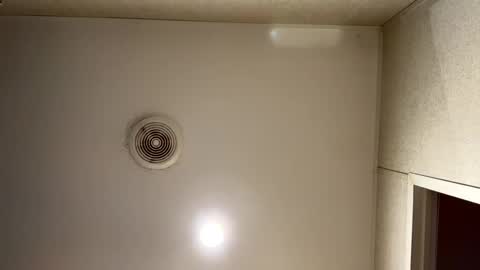 emmwarr1514 online show from February 13, 12:00 pm