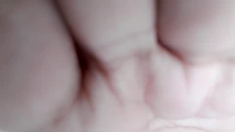 empressrheo online show from February 8, 1:11 am