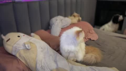 Alice online show from April 23, 7:37 pm