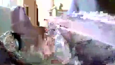 encormoi online show from November 11, 9:00 am