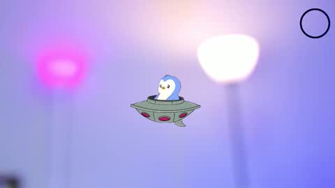   online show from November 11, 8:55 pm